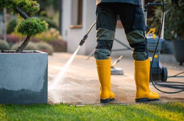 Best Roof Pressure Washing  in Columbia City, OR